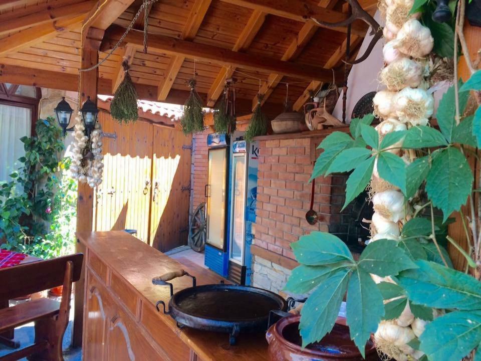 Guest House Gergana Primorsko Buitenkant foto